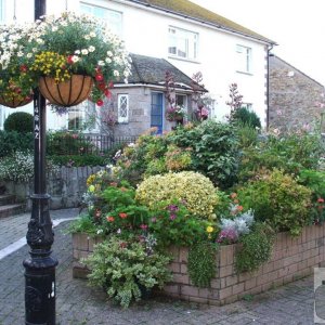 Britain in Bloom Street Display 31st July, 2008