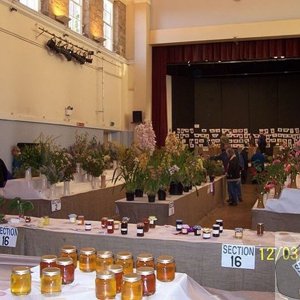 St John's Hall: Penzance Spring Show today - 12Mar10