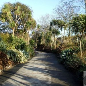 The lower entrance to Morrab Gdns - 22/01/10