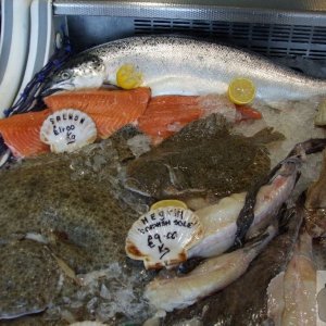 Fish for eating, Stevensons fishmongery, the Harbour Road, Newlyn