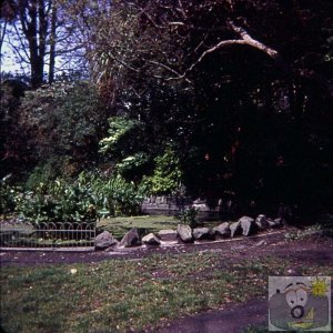 The pond at the bottom of Penlee Park, 1977