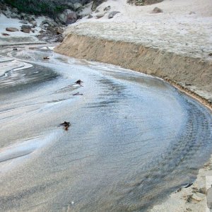 The river on Porthcurno beach - 12th Nov., 2009