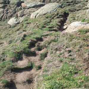 Tol-Pedn-Penwith: The Devil's Funnel