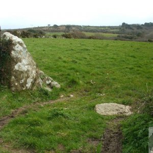 5April10 - Outlying pastures at Kerris