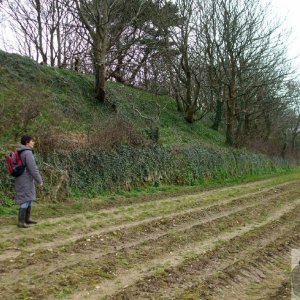 5April10 - Price's Folly near Tredavoe