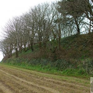 5April10 - Price's Folly near Tredavoe