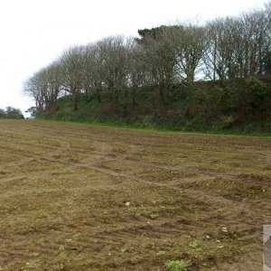 5April10 - Price's Folly near Tredavoe