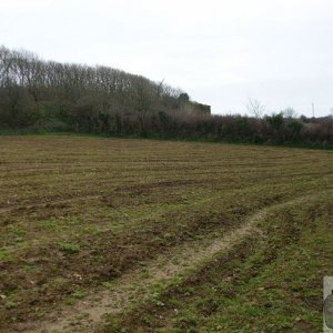 5April10 - Price's Folly near Tredavoe