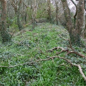 5April10 - Price's Folly near Tredavoe