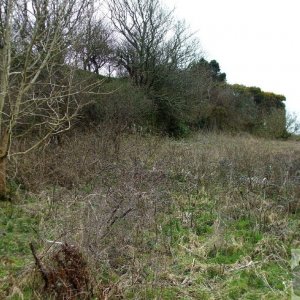 5April10 - Price's Folly near Tredavoe