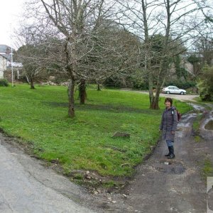 Tredavoe Village Green - 5April, 2010