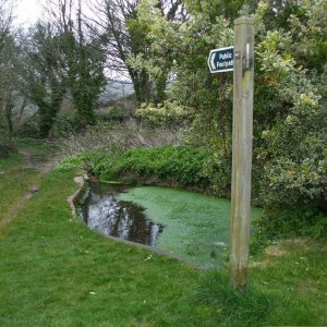 Pond - Tredavoe Village Green - 5April10