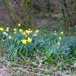 Spring in Chyenhal (House on the Moor) is another lesser-frequented hamlet