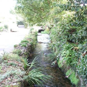 Rosehill/Castle Horneck and Newlyn River