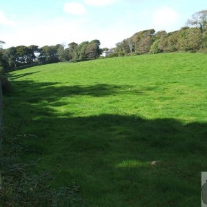 Rosehill/Castle Horneck and Newlyn River