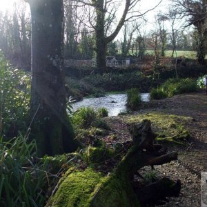 Rosehill/Castle Horneck and Newlyn River