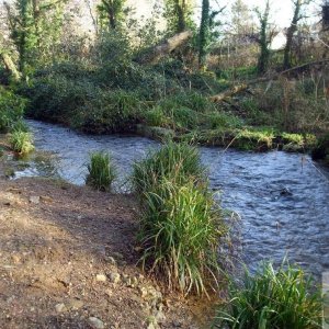 Rosehill/Castle Horneck and Newlyn River