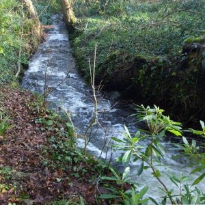 The Lariggan River beside Rosehill