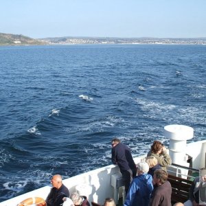 Day Trip to Scilly - 20th April, 2007