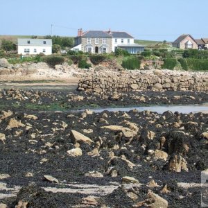 Day Trip to Scilly - 20th April, 2007