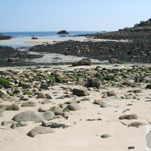 Day Trip to Scilly - 20th April, 2007
