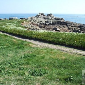 Day Trip to Scilly - 20th April, 2007