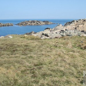 Day Trip to Scilly - 20th April, 2007