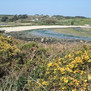 Day Trip to Scilly - 20th April, 2007