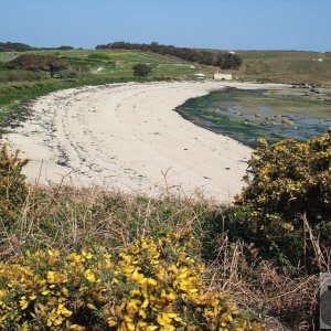 Day Trip to Scilly - 20th April, 2007