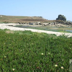 Day Trip to Scilly - 20th April, 2007