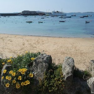 Day Trip to Scilly - 20th April, 2007