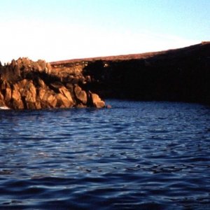 An evening trip to Annet for bird watchers.