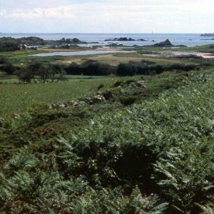 Bryher's interior