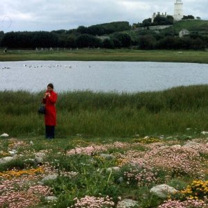 St Agnes, Scilly: Beady Pool