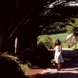Holyvale, St Mary's, Scilly