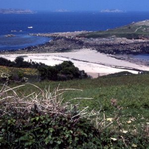 View of Toll's Island off St Mary's, Scilly