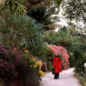 Tresco Gardens, Scilly