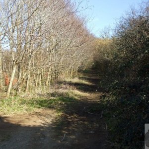 St Erth - track to the Pits - 11Mar10