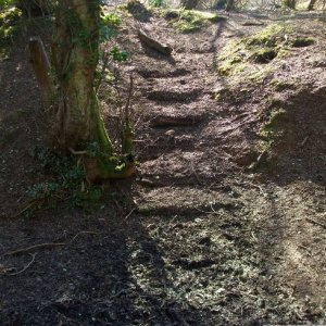 St Erth Pits - A flight of steps - 11Mar10