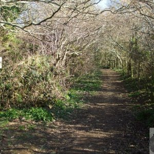 Leaving the Clay Pits - St Erth - 11Mar10