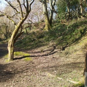 St Erth Clay Pits - 11Mar10