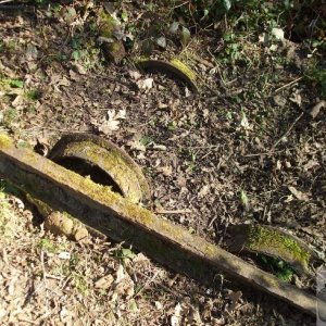 St Erth Clay Pits- 11Mar10