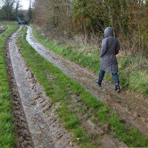 Walking in a river around St Erth - 17th March, 2010