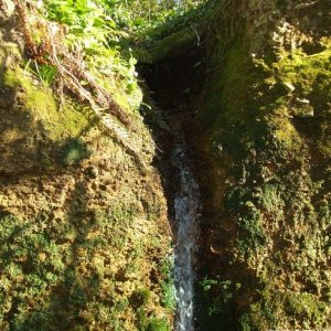 Mini-waterfall, St Erth - 11th March, 2010