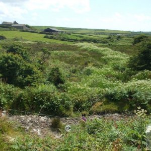 Tregeseal and Carn Kenidjack area - 16th June, 2009