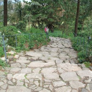 St Michael's Mount - The Path