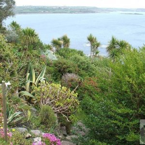 St Michael's Mount - The Garden