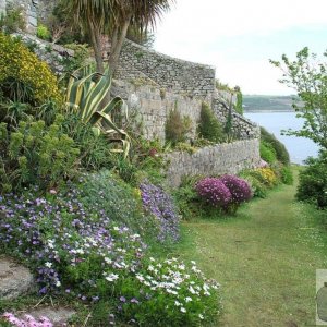 St Michael's Mount - The Garden