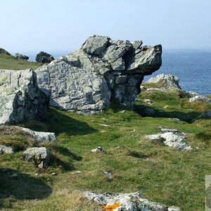 Fetch Rover! Clifftop walk, St Ives, in spring