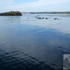 Chapel Rock - - St Michael's Mount